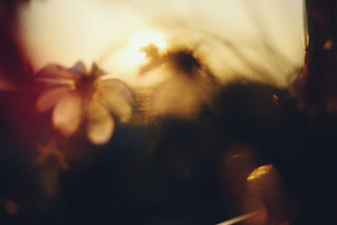 灯满泉州，花灯灿烂(视频)